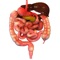 Virtual Reality ( VR ) App of Human Digestive System in 360 VR view