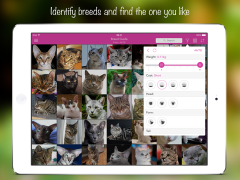 iKnow Cats 2 PRO - Cat Breed Guideのおすすめ画像2