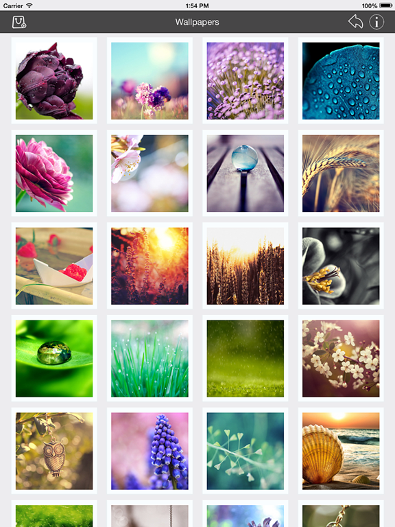 Screenshot #5 for Wallpaper Collection Macro Edition