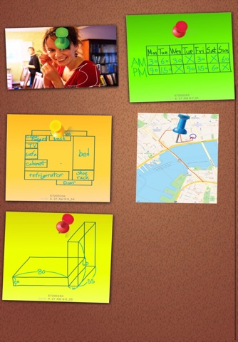 Sticky Notes Pin Pad PRO screenshot 3