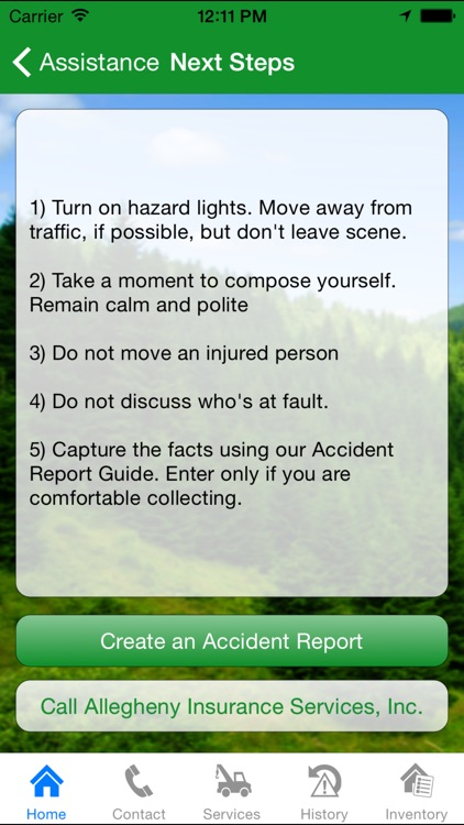 Allegheny Insurance Services