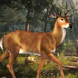 Deer Hunting Challenge 2016 app icon