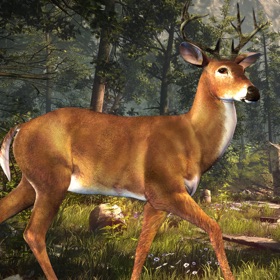 螢幕擷取畫面 (3) Deer Hunting Challenge 2016