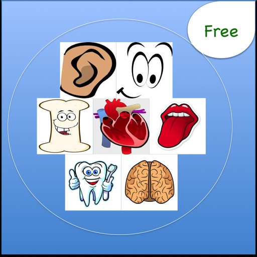Body Quizzes For Kids Free icon