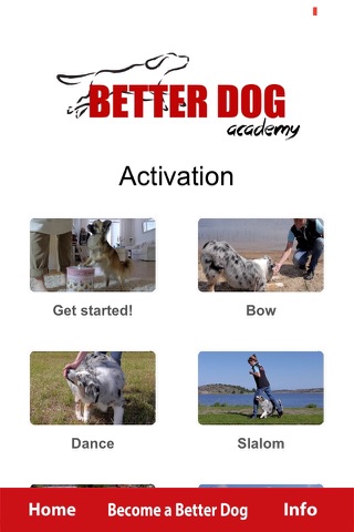 Better Dog Academy screenshot 4