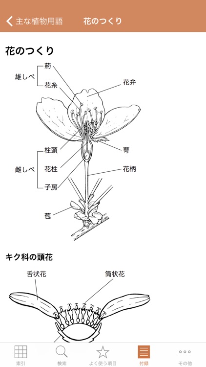 野に咲く花（山溪ハンディ図鑑） screenshot-4