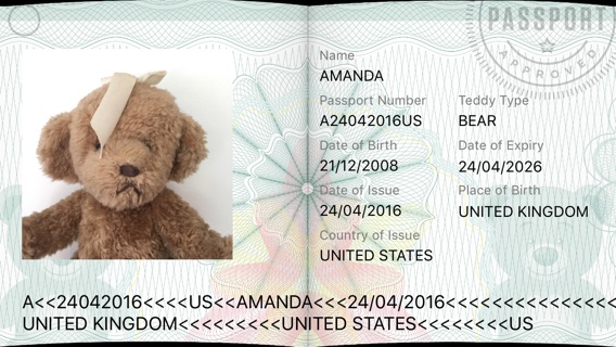 Teddy Bear Passport / Travel Photo Card ID Maker with Travel Stampsのおすすめ画像2