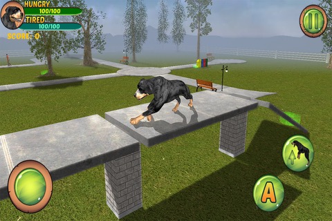 Rottweiler Dog Life Simulatorのおすすめ画像3