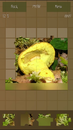 Mushrooms Puzzles Collection(圖5)-速報App