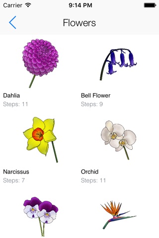 Draw Flowers - Full Version screenshot 3
