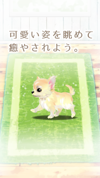 癒しの子犬育成ゲーム〜チワワ編〜（無料） screenshot1