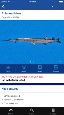 Game screenshot Fishes: East Pacific apk