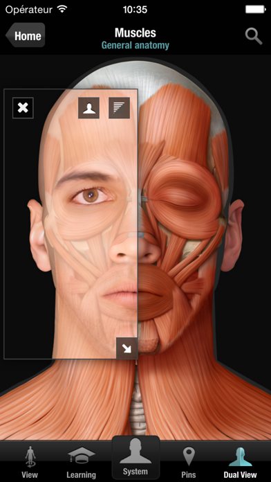 Virtual Human Body Screenshot
