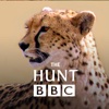 The Hunt - BBC Earth - Natural History Interactive TV Series