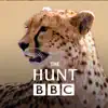 The Hunt - BBC Earth - Natural History Interactive TV Series App Support