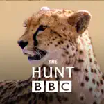 The Hunt - BBC Earth - Natural History Interactive TV Series App Negative Reviews