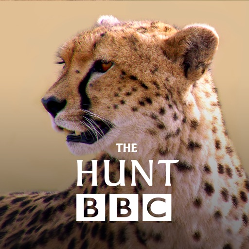 The Hunt - BBC Earth - Natural History Interactive TV Series