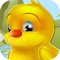 Duck Treasure Hunter of Classic Tap Game