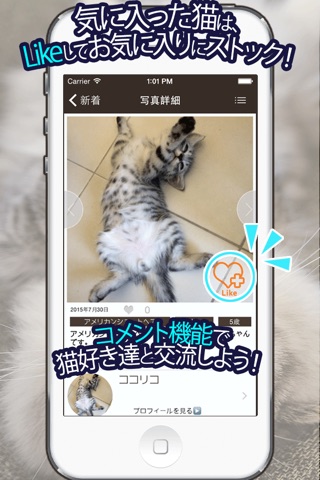 CatSnaps - 愛猫たちの写真共有アプリ screenshot 2