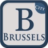 Brussels Offline City Travel Guide