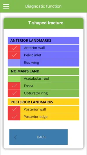 Acetabular Diagnosis Tool screenshot 4