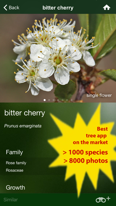 Tree Id USA - identify over 1000 of America's native species of Trees, Shrubs and Bushes Screenshot