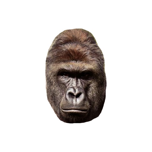 Harambe icon