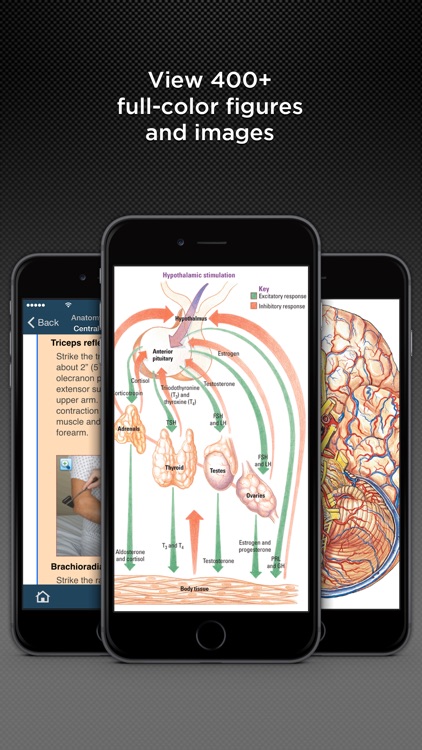 Anatomy and Physiology Made Incredibly Easy