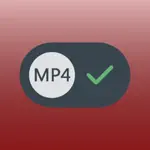 MP4 Converter App Problems