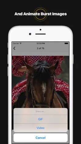 Game screenshot LiveBurst - Animate Burst Photos, Live to GIF Converter hack