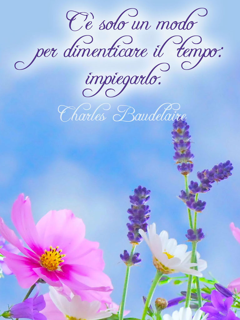 Frasi belle - Immagini con frasi sagge, aforismi e citazioni sulla vita