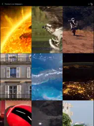 Live Wallpaper Collections ipad bilder 0