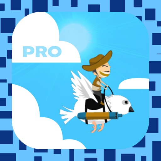 Sky Cowboy Game Pro
