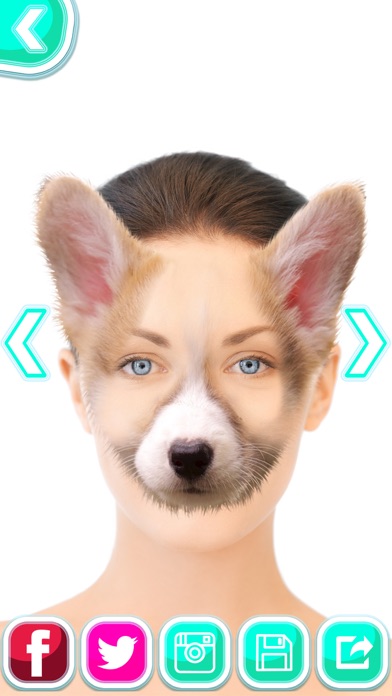 子犬 顔 チェンジャー 無料 かわいい 動物 ヘッド 写真 編集者 とともに 犬 ステッカー Iphoneアプリ Applion
