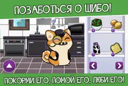 Game screenshot Shibo Dog-Virtual Pet Minigame apk