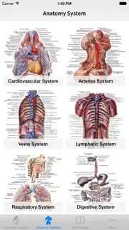 human anatomy position problems & solutions and troubleshooting guide - 4
