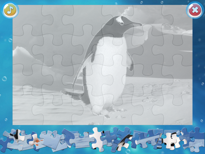 Arctic Animals Puzzle