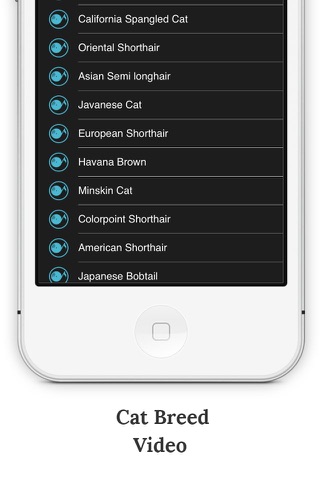 SwiArk - Cat Breed Video Directory screenshot 4