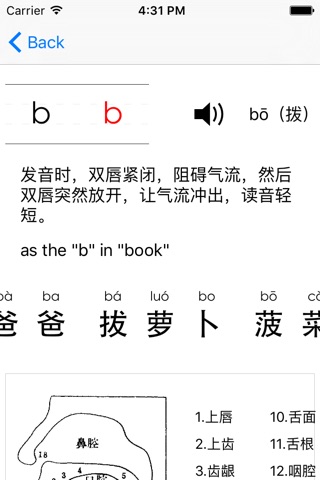Chinese Pinyin Learning screenshot 2