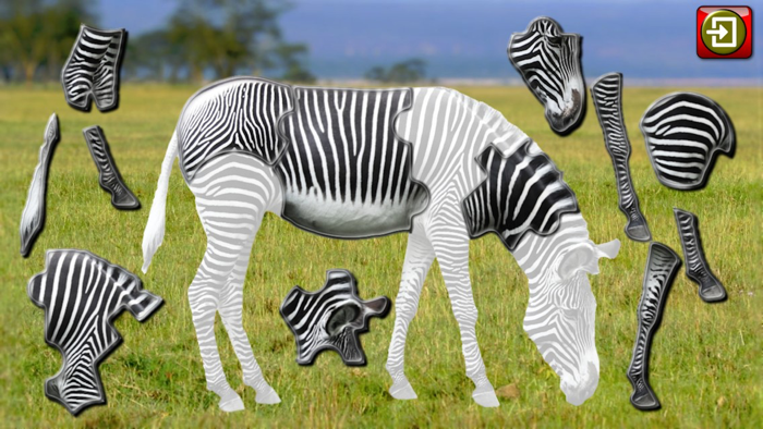 Childrens Animal Jigsaw Puzzles