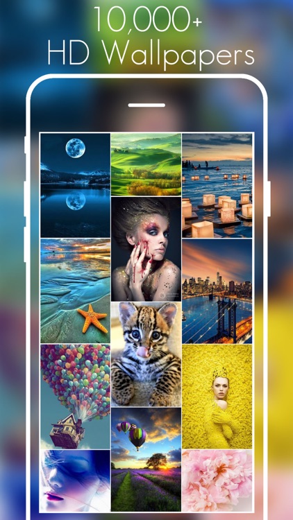 Wallpapers and Themes-Cool HD Backgrounds Images Free for iPhone and iPad Screen