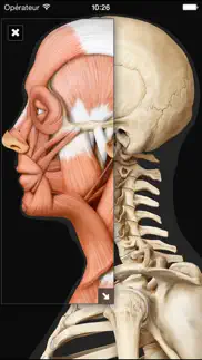 virtual human body problems & solutions and troubleshooting guide - 1