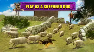 Shepherd Dog Simulator 3D screenshot #2 for iPhone