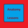 AnatomyLessons