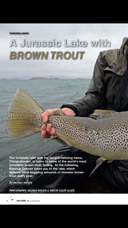 NZ Trout Fisher screenshot-3