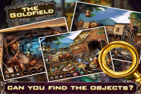 The Gold Field Mystery screenshot 4