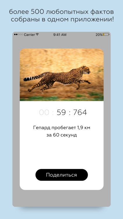 ФактТайм - интересные факты в одно нажатие