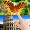 Pin It Quick ~ A photo hunt puzzle of hidden objects!