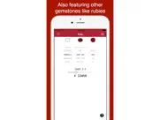 diamond and gem price guide ipad images 2