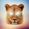 Animal Face - Selfie Editor & Stickers for Pictures